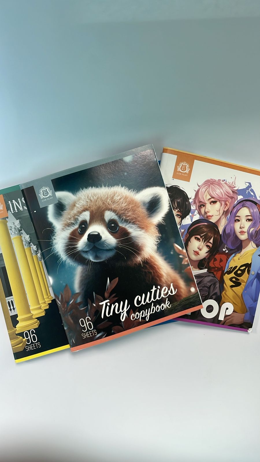 Тетрадь общая 96 листов А5 линия, 9696 PAPYRUS